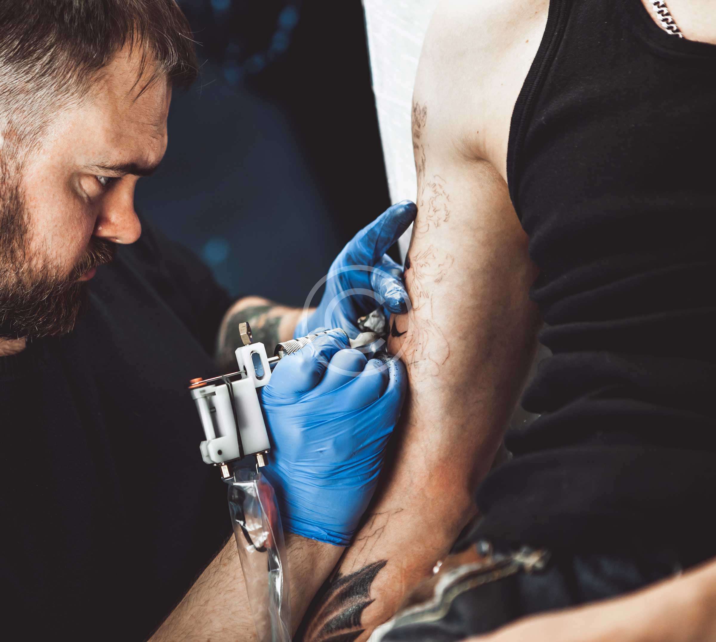 The Absolute Must-Have for a Newbie